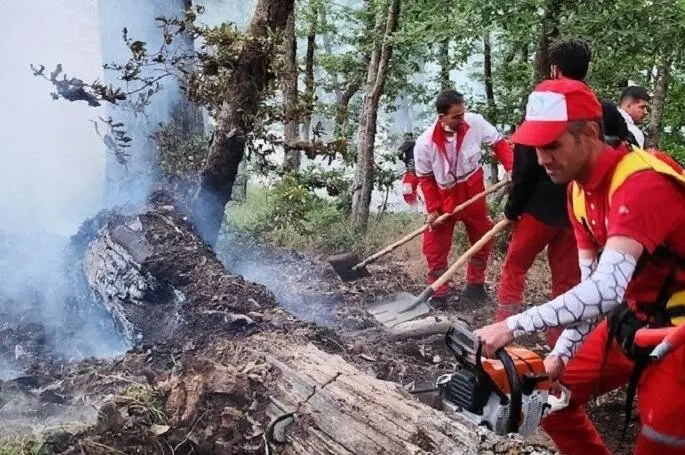 بازگشت آتش به جنگل‌های کارمزد؛ دو هزار مترمربع طعمه حریق شد