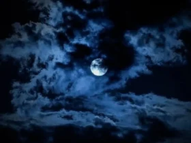 ماه سگ آبی شامگاه چهارشنبه ۱۴ آبان ۱۴۰۴ آسمان تهران را روشن کرد