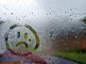 ۶ خوراکی مؤثر برای مقابله با افسردگی پاییز و زمستان