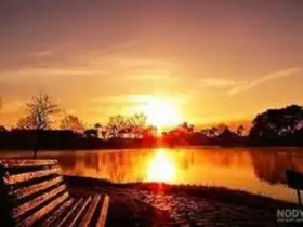 اگر شب‌ ها غمگین می‌شوید، بخوانید؛ افسردگی فصلی و راه‌های غلبه بر غم پاییز