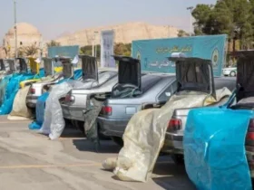توقیف ۳ هزار خودروی شوتی در فارس و کرمان / ۶۴۹ نفر بازداشت شدند