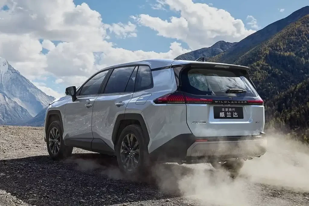 ابعاد و طراحی بیرونی وایلدلندر