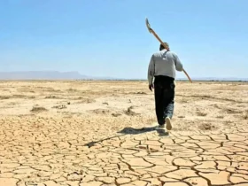 متهمان اصلی بحران آب معرفی شدند؛ سهم ۸۰ درصدی خطا های انسانی