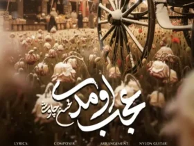 دانلود آهنگ عجب اومدی با صدای محسن چاوشی