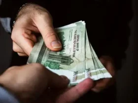 تمرکز تسهیلات بانکی بر سرمایه در گردش؛ تصویر اعتبارات در سال ۱۴۰۴