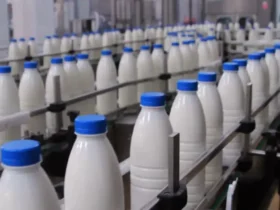 خبر خوش برای مصرف‌کنندگان؛ ۴ محصول لبنی ارزان می‌شود