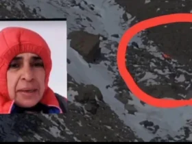 کشف پیکر طاهره حاصلی در ارتفاعات دماوند