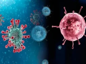 نخستین فوتی آنفلوانزا در کهگیلویه و بویر احمد ثبت شد