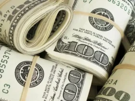 قیمت دلار آزاد امروز ۱۲ آذر ۱۴۰۴ اعلام شد