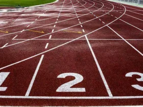 اعلام رأی اولیه پرونده دوومیدانیکاران ایرانی در کره جنوبی