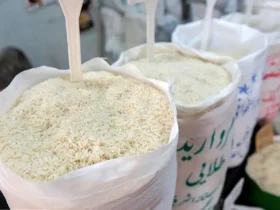 قیمت برنج ایرانی به ۴۱۵ هزار تومان رسید | لیست کامل قیمت آذر ۱۴۰۴