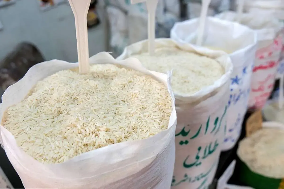 قیمت برنج ایرانی به ۴۱۵ هزار تومان رسید | لیست کامل قیمت آذر ۱۴۰۴