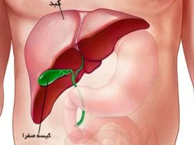 این علائم هشدار میدهد کبد شما دچار مشکل شده است