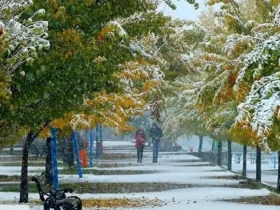 ورود موج بارشی از غرب کشور باران و برف در چند استان