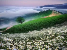 معرفی ماسال و لاهیجان برای سفر به گیلان به جای رشت و انزلی و فومن