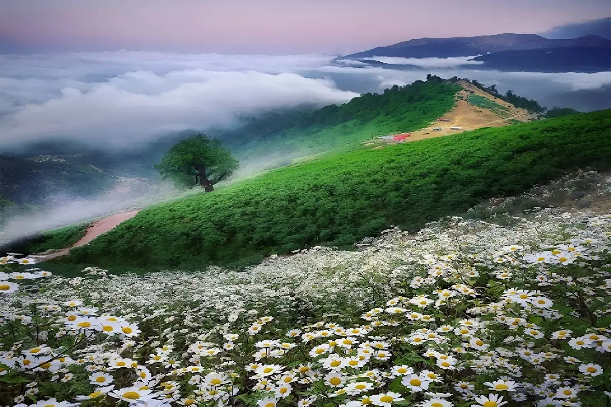 معرفی ماسال و لاهیجان برای سفر به گیلان به جای رشت و انزلی و فومن