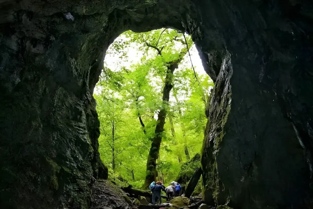 مناطق جنگلی و کوهستانی ماسال