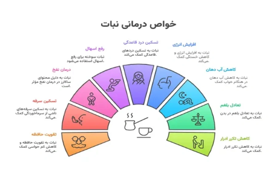 اینفوگرافیک خواص نبات