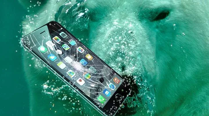 چه گوشی‌هایی نیاز به بیمه ندارند؟