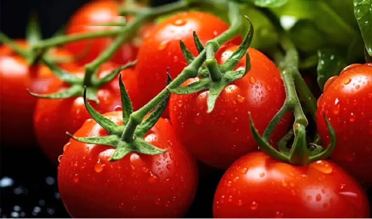 سلطان گرانی ماه معرفی شد؛ جهش ۴۳ درصدی قیمت این محصول