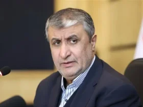 محمد اسلامی در پیامی درگذشت همسر دکتر سقاب اصفهانی را تسلیت گفت