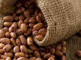 لوبیا چیتی ۴۲۰ هزار تومان شد؛ آخرین قیمت حبوبات در بازار بنکداران