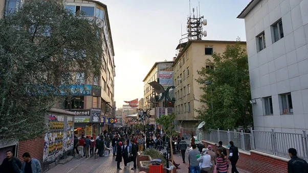 چه گروه‌ هایی بیشتر به شهر وان سفر می‌کنند؟