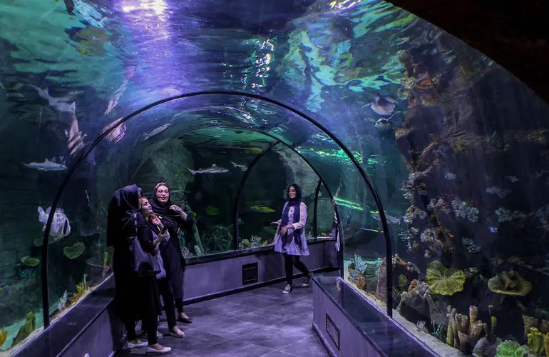 معرفی آکواریوم انزلی 