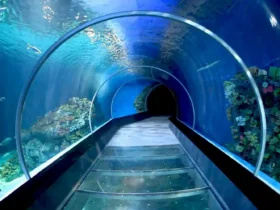 آکواریوم انزلی کجاست؟ + قیمت بلیط و ساعت بازدید