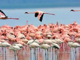 بهترین سواحل گردشگری مازندران کدام اند؟