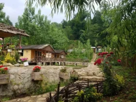 بهترین اقامتگاه‌ های بوم‌گردی شمال ایران کدام اند؟