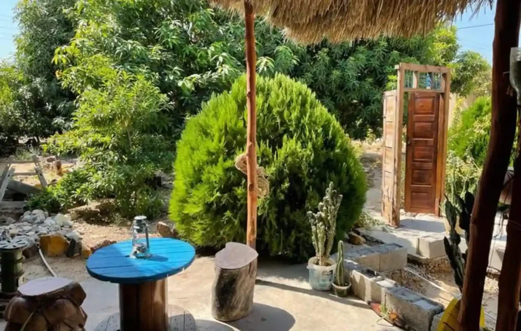 چرا بوم‌گردی‌ های ساحلی جنوب را انتخاب کنیم؟