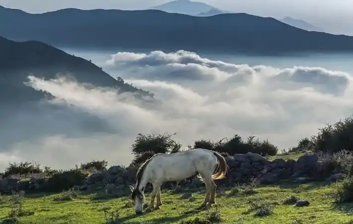 فاصله فیلبند تا نمک آبرود