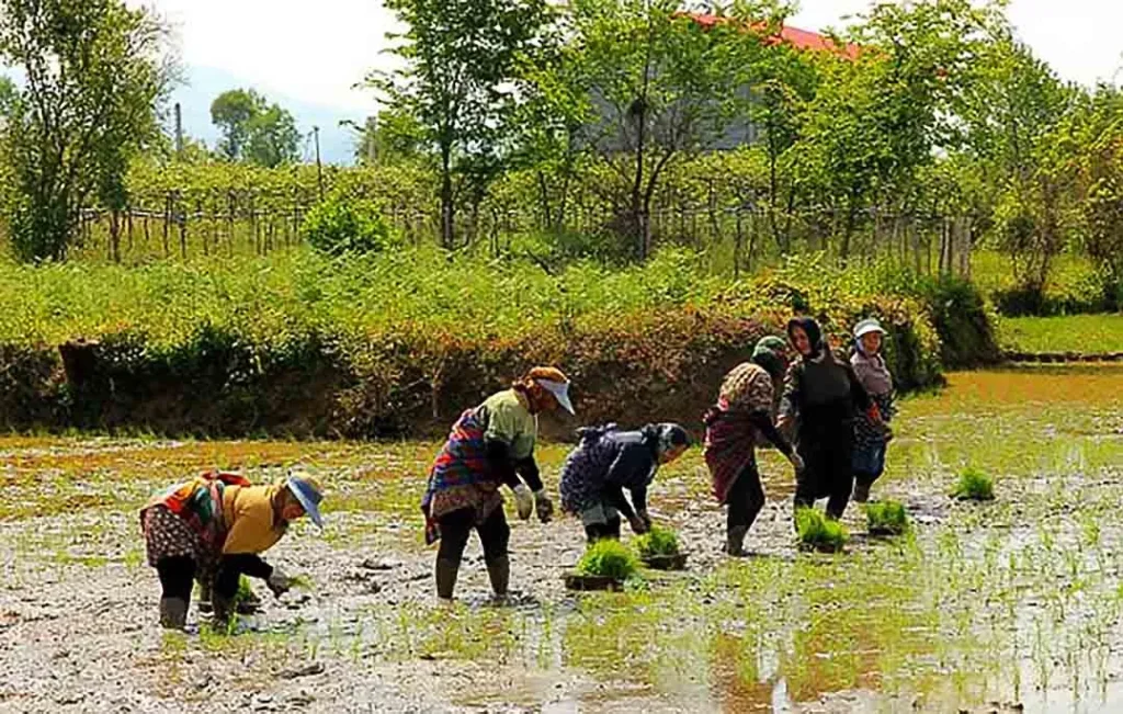 روستای قاسم‌ آباد چابکسر