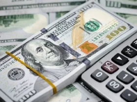 افزایش قیمت دلار، یورو و درهم در بازار ارز امروز 20 بهمن 1404