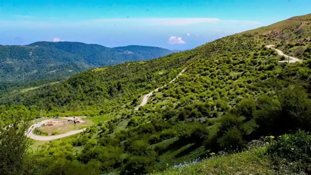 مسیر دسترسی به فیلبند
