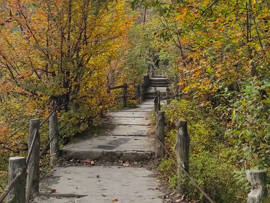 پارک جنگلی میرزا کوچک خان (هزار پله)
