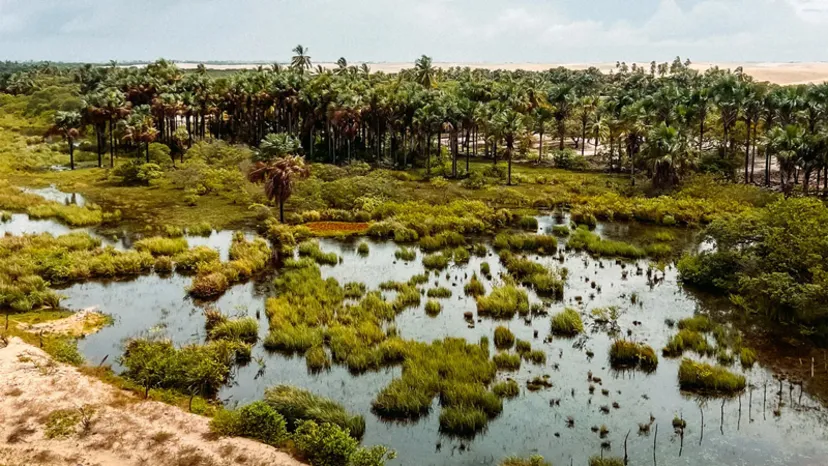 اکوسیستم پویا و طبیعت در حال تغییر پارک لینسویز ماراینسیز