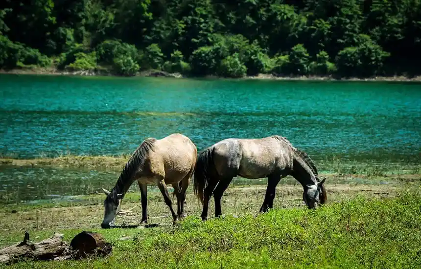 نکات مهم برای سفر به سد لفور