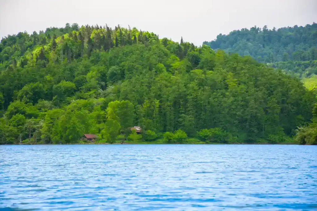 سد لفور کجاست؟