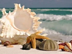 چطور سفر اقتصادی به قشم داشته باشیم؟ (بررسی هزینه‌ ها)