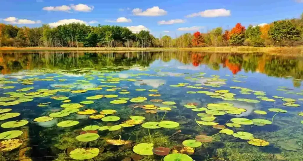 آینده صنعت سفرهای اکتشافی