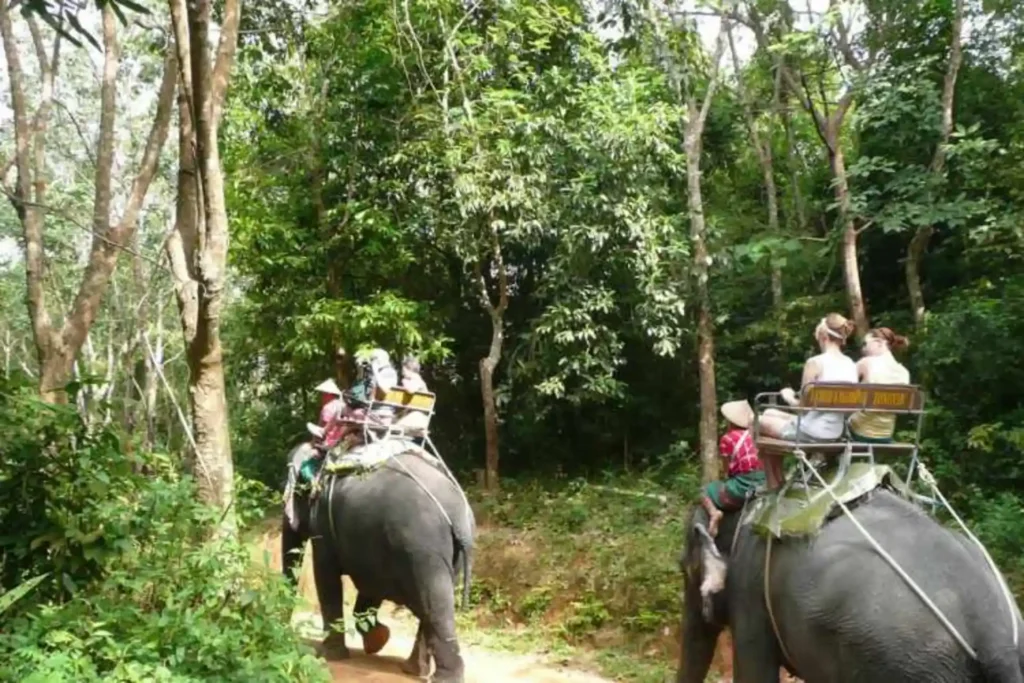 خستگی از مقاصد شلوغ و گردشگری انبوه با گردشگری اکتشافی
