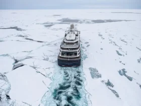 چرا تلاش‌ های اولیه فتح قطب شمال این‌ قدر مرگبار بود؟