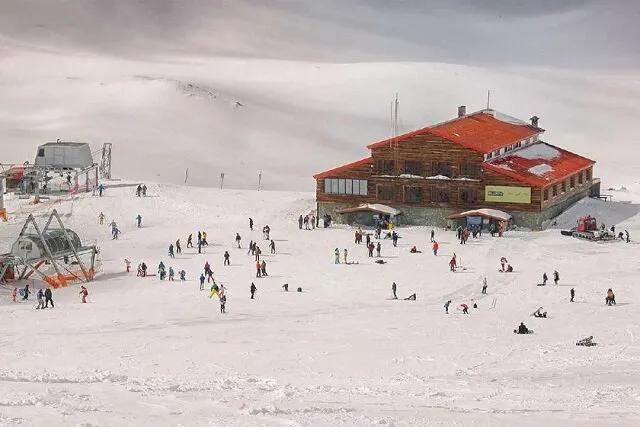 تله کابین توچال