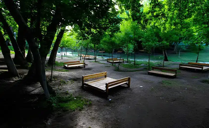 پارک جنگلی وکیل آباد از جاهای دیدنی مشهد در تابستان